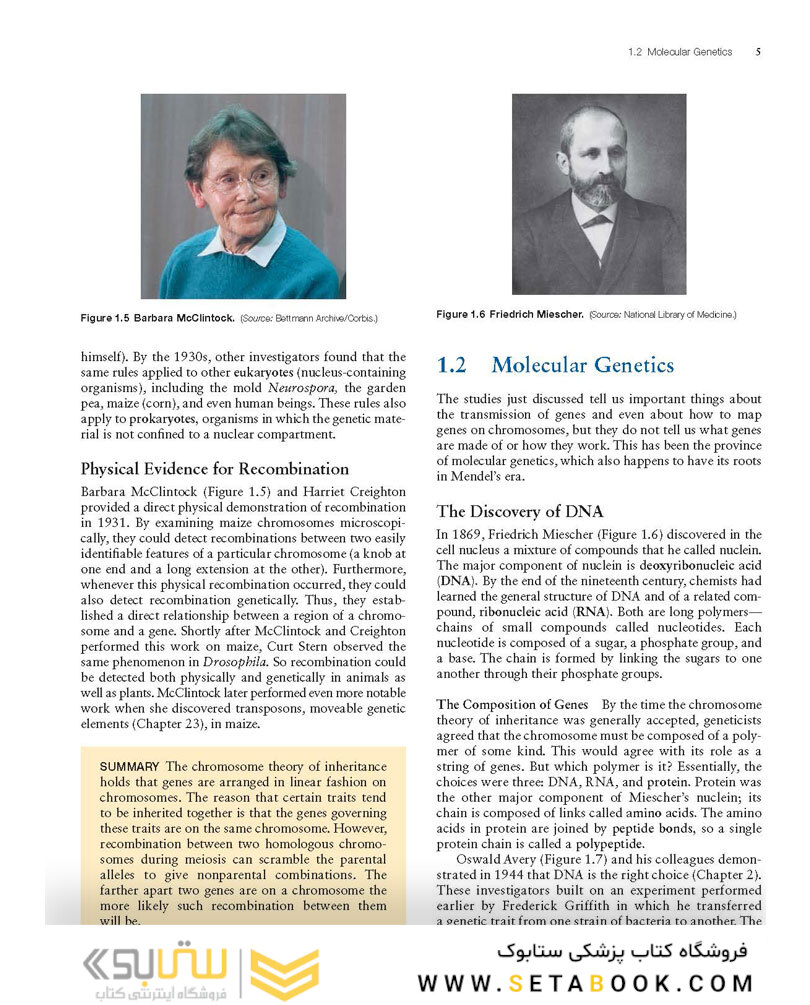 Molecular Biology 5th Edition 2012