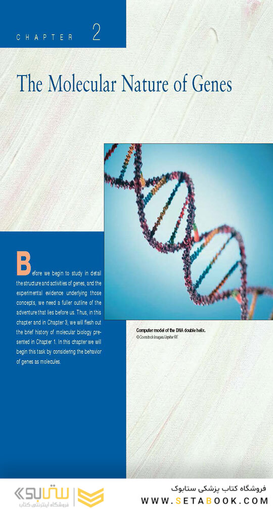 Molecular Biology 5th Edition 2012