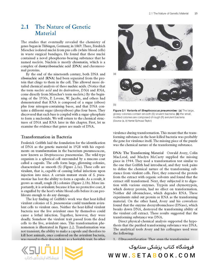 Molecular Biology 5th Edition 2012