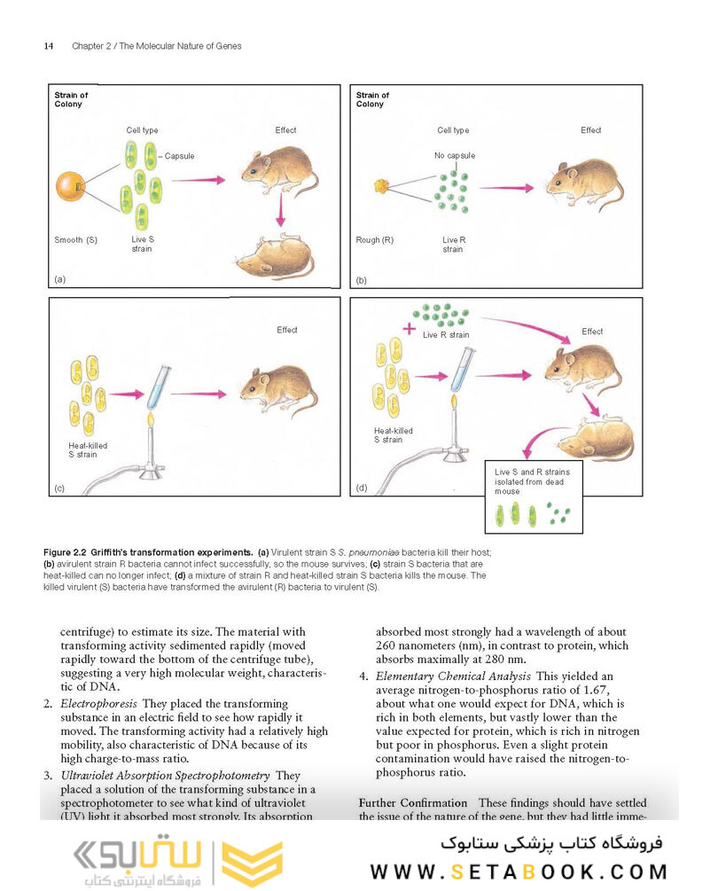 Molecular Biology 5th Edition 2012