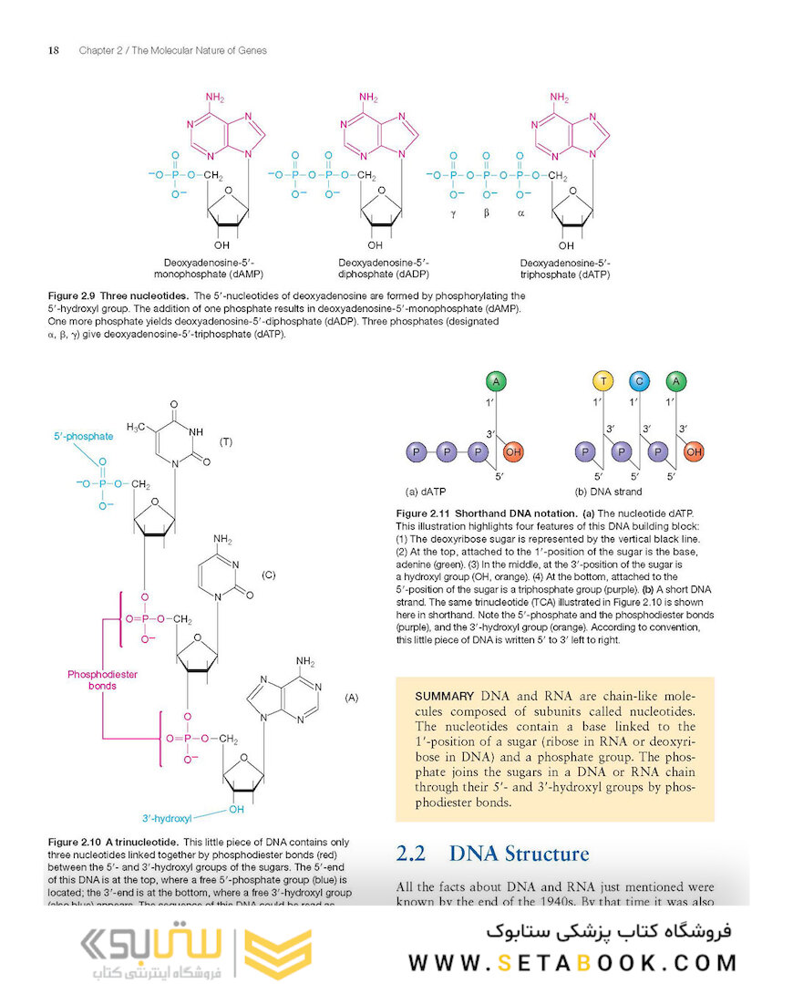 Molecular Biology 5th Edition 2012