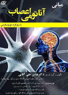 عکس مبانی آناتومی اعصاب با رویکرد نوروساینس  تمام رنگی