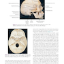 Atlas of Oral and Maxillofacial Surgery