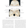 Atlas of Oral and Maxillofacial Surgery