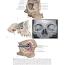 Atlas of Oral and Maxillofacial Surgery