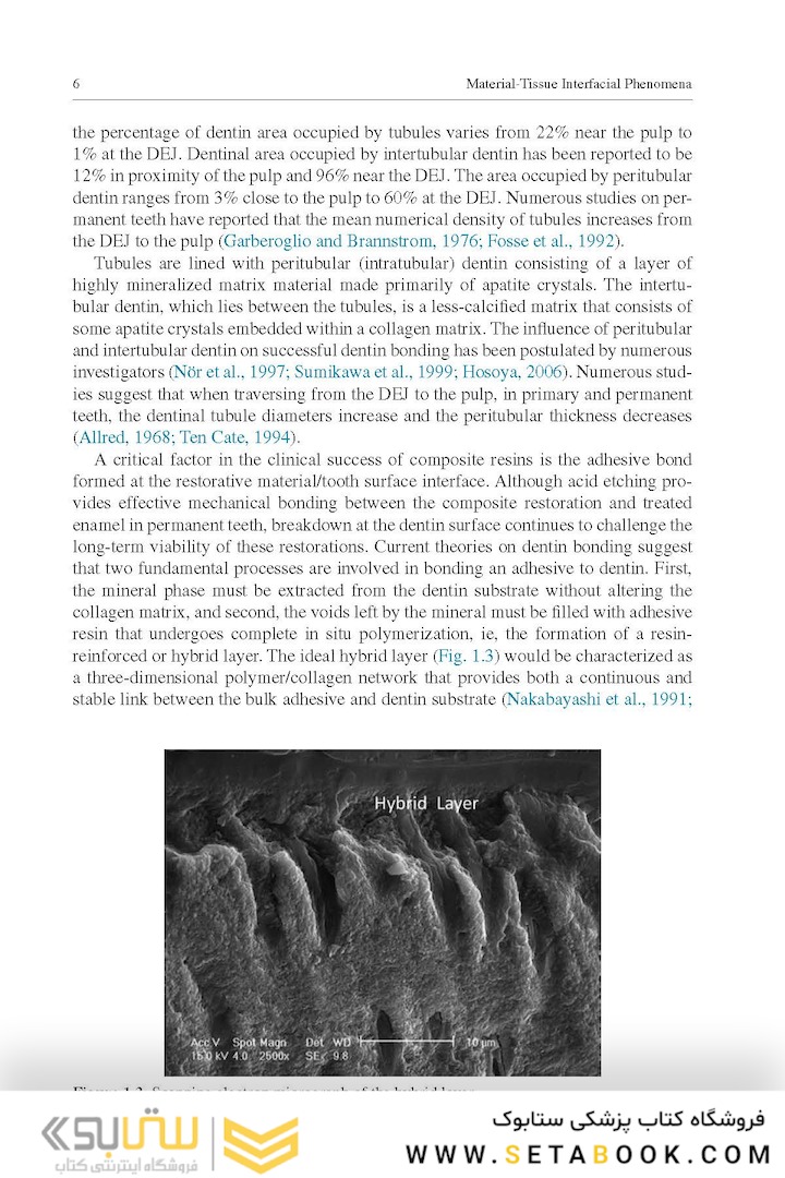 Material-Tissue Interfacial Phenomena : Contributions from Dental and Craniofacial Reconstructions 2017