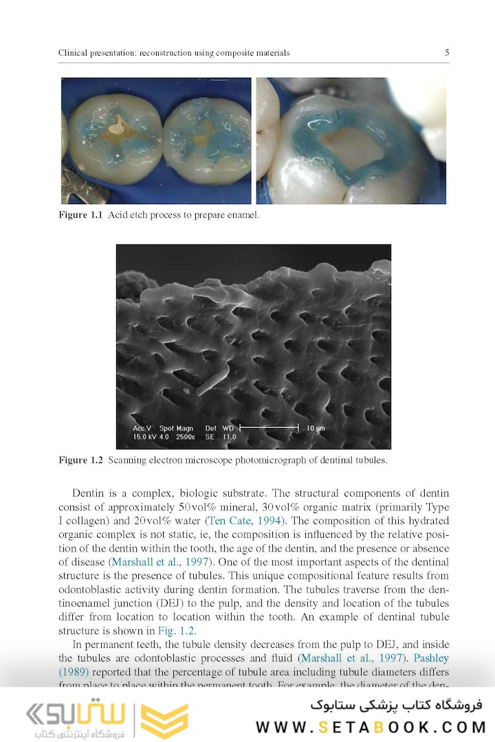Material-Tissue Interfacial Phenomena : Contributions from Dental and Craniofacial Reconstructions 2017