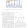 Contemporary Orthodontics