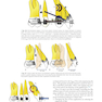 Temporary Anchorage Devices in Orthodontics 2nd Edition 2021