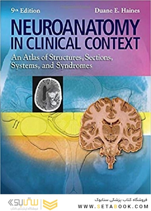 Neuroanatomy in Clinical Context : An Atlas of Structures, Sections, Systems, and Syndromes