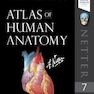 Atlas of Human Anatomy (Netter Basic Science)