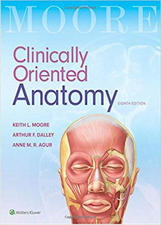 عکس Clinically Oriented Anatomy Moore