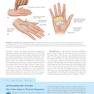 Clinically Oriented Anatomy Moore