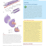 Clinically Oriented Anatomy Moore