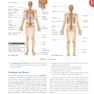 Clinically Oriented Anatomy Moore