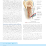 Clinically Oriented Anatomy Moore