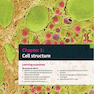 Cambridge International AS and A Level Biology Coursebook with