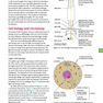 Cambridge International AS and A Level Biology Coursebook with