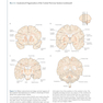 Principles of Neural Science, 6th Edition