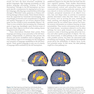 Principles of Neural Science, 6th Edition