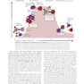 Cellular and Molecular Immunology 10th Edicion 2022