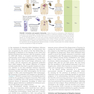 Cellular and Molecular Immunology 10th Edicion 2022