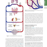 Guyton and Hall Textbook of Medical Physiology (Guyton Physiology) 14th Edicion