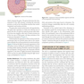 Guyton and Hall Textbook of Medical Physiology (Guyton Physiology) 14th Edicion