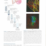 2017 Lehninger Principles of Biochemistry