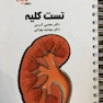تست کلیه نفرولوژی دکتر کرمی  Think - Learn