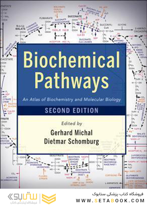 Biochemical Pathways : An Atlas of Biochemistry and Molecular Biology
