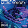 Jawetz Melnick - Adelbergs Medical Microbiology 28 E