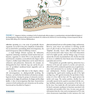 Jawetz Melnick - Adelbergs Medical Microbiology 28 E