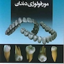 شناخت آناتومی و مورفولوژی دندان