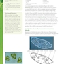 Biology for the IB Diploma Coursebook, 2nd Edition
