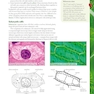 Biology for the IB Diploma Coursebook, 2nd Edition