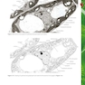 Biology for the IB Diploma Coursebook, 2nd Edition