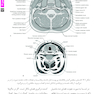 Book brief خلاصه جراحی دهان فک و صورت پیترسون 2019