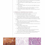 Fundamentals of Pathology 2021