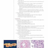 Fundamentals of Pathology 2021