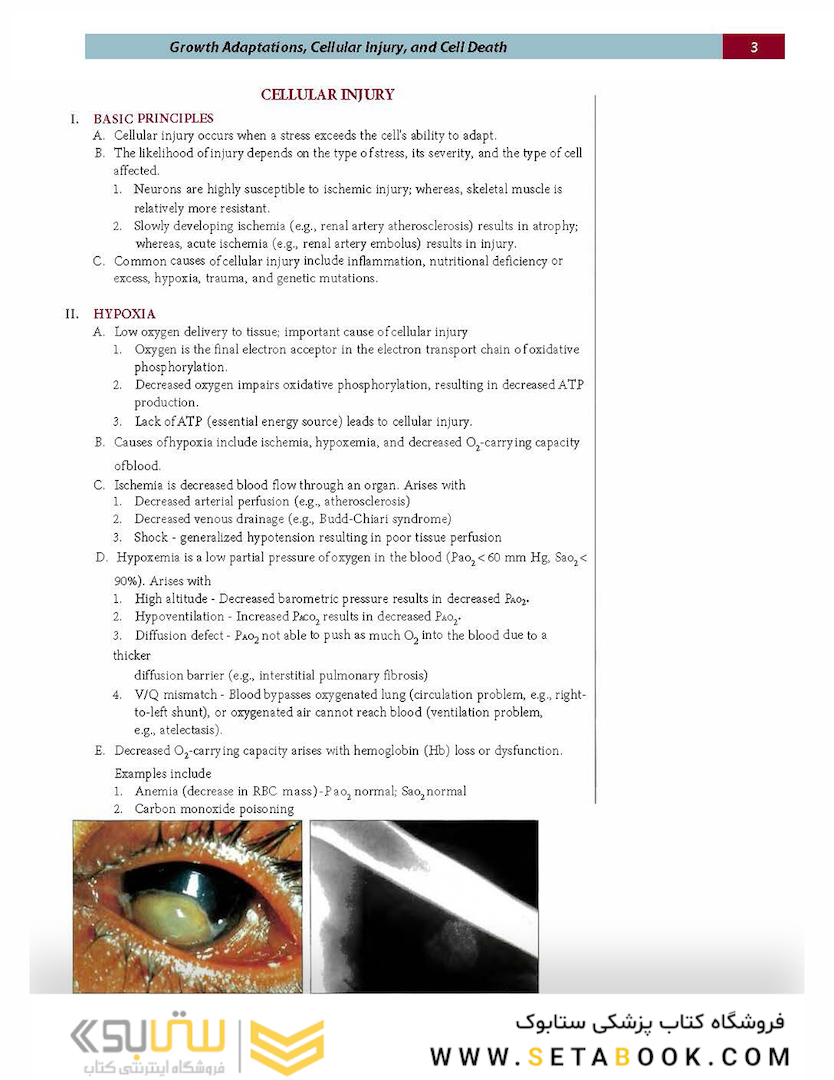 Fundamentals of Pathology 2021