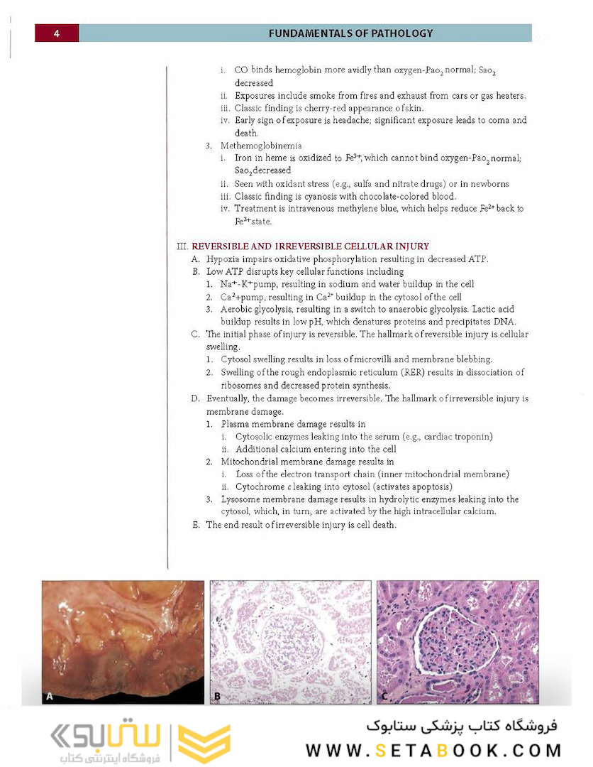 Fundamentals of Pathology 2021