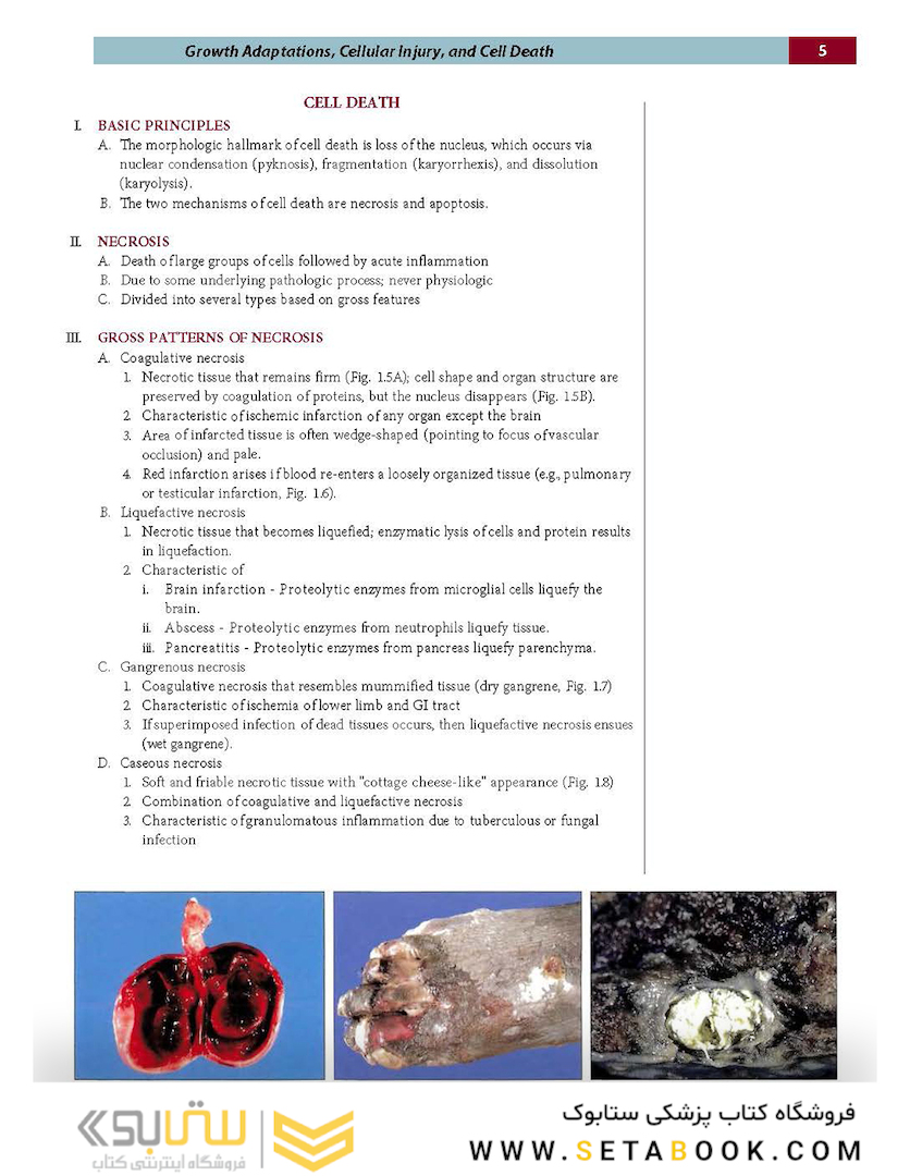 Fundamentals of Pathology 2021