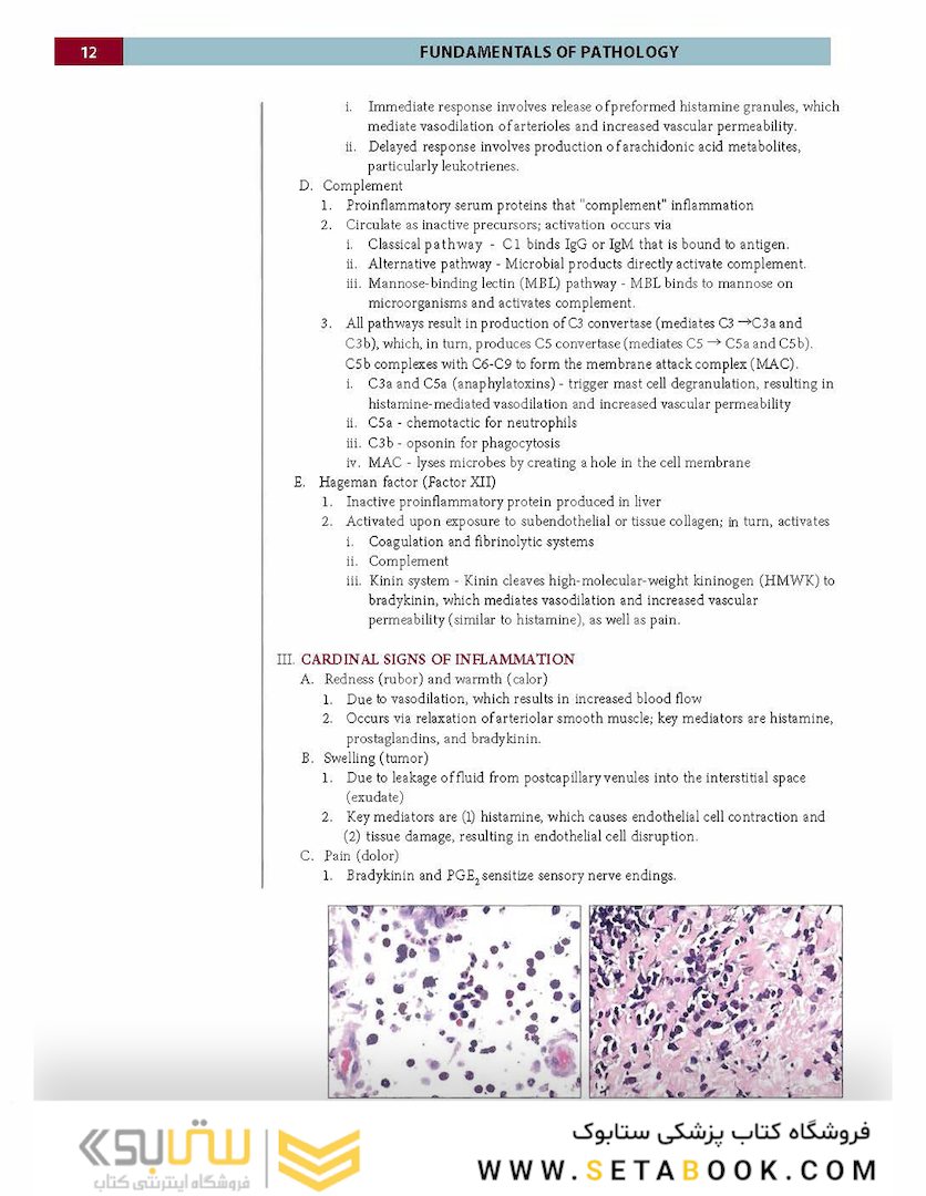 Fundamentals of Pathology 2021