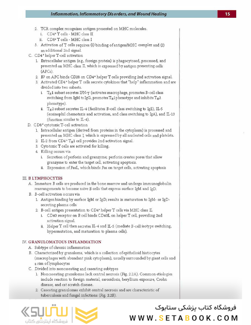 Fundamentals of Pathology 2021