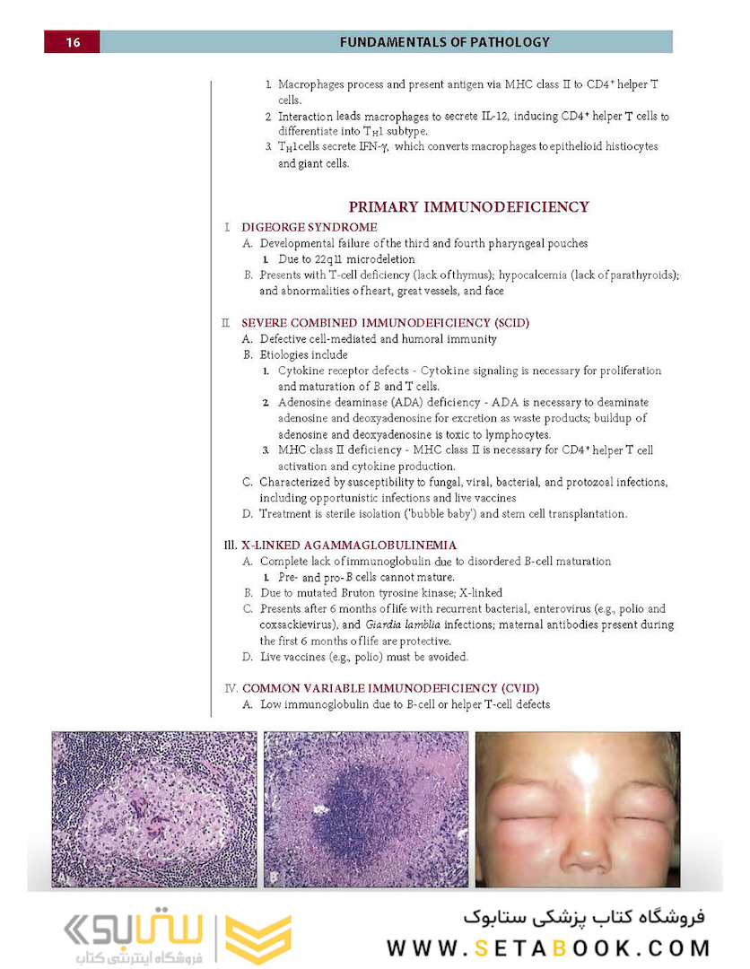 Fundamentals of Pathology 2021