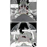 Target Volume Delineation and Field Setup : A Practical Guide for Conformal and Intensity-Modulated Radiation Therapy