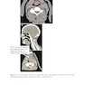 Target Volume Delineation and Field Setup : A Practical Guide for Conformal and Intensity-Modulated Radiation Therapy