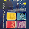 آناتومی پایه گری (اندام)