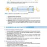 BRS Physiology (Board Review Series)